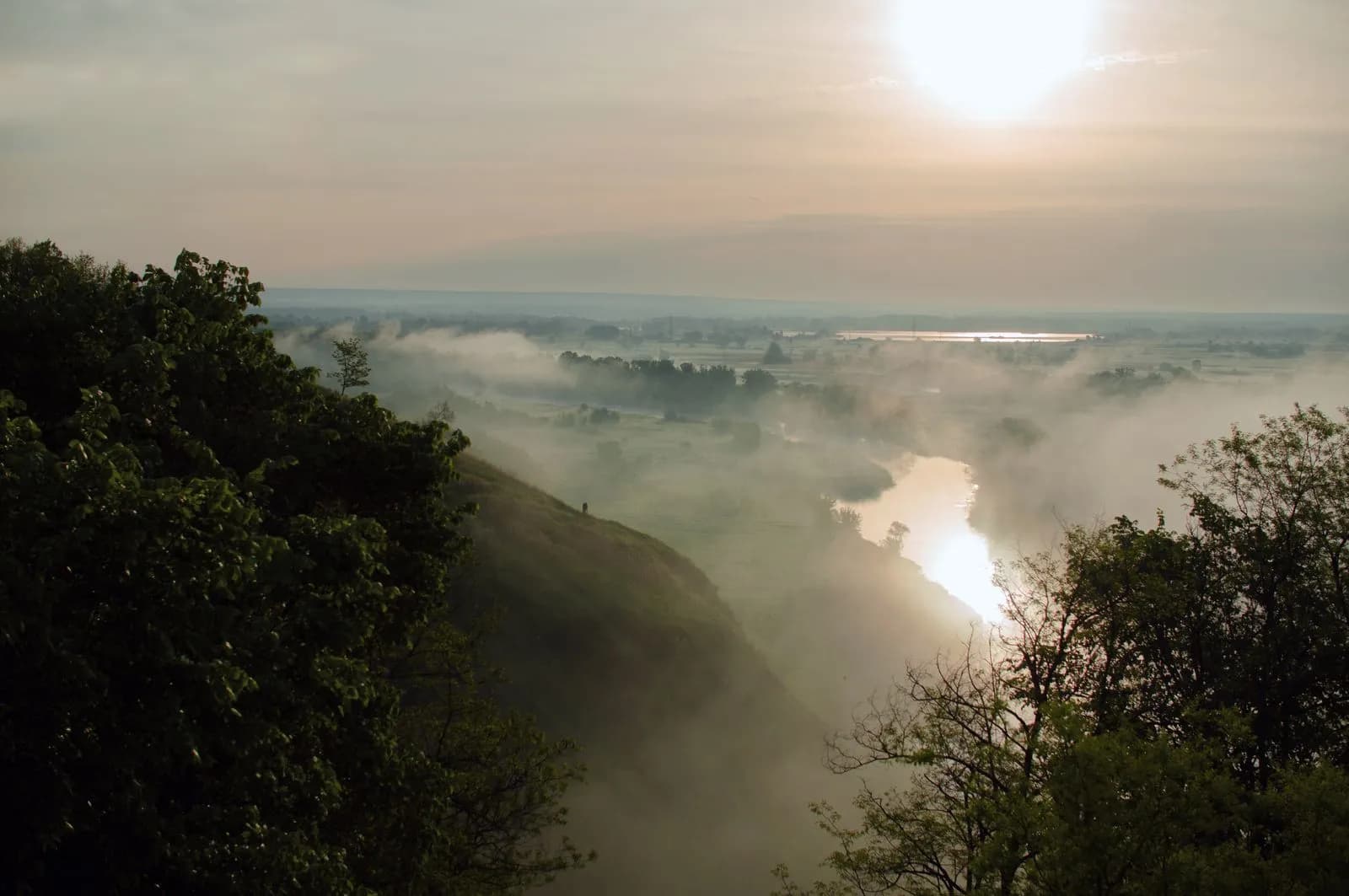 A misty river valley at sunrise, seen from a forested hillside