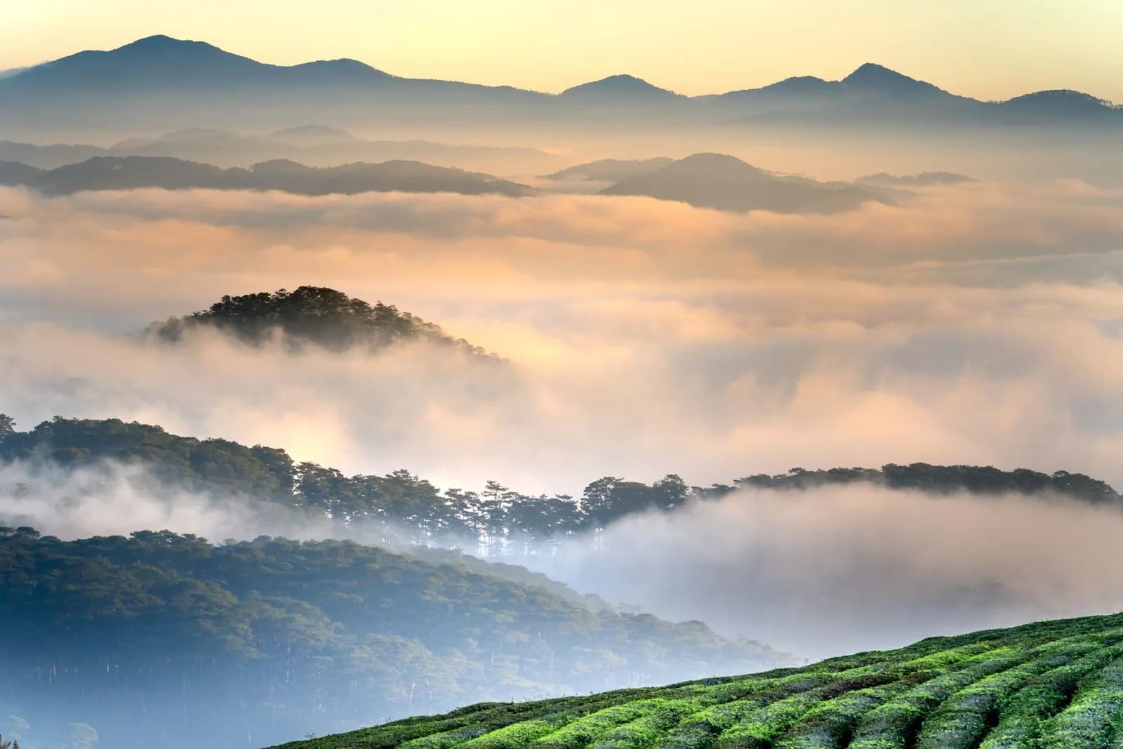 Layered mountain ridges at sunrise, separated by bands of mist