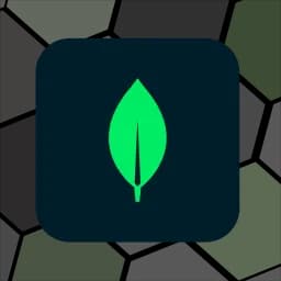 MongoDB
