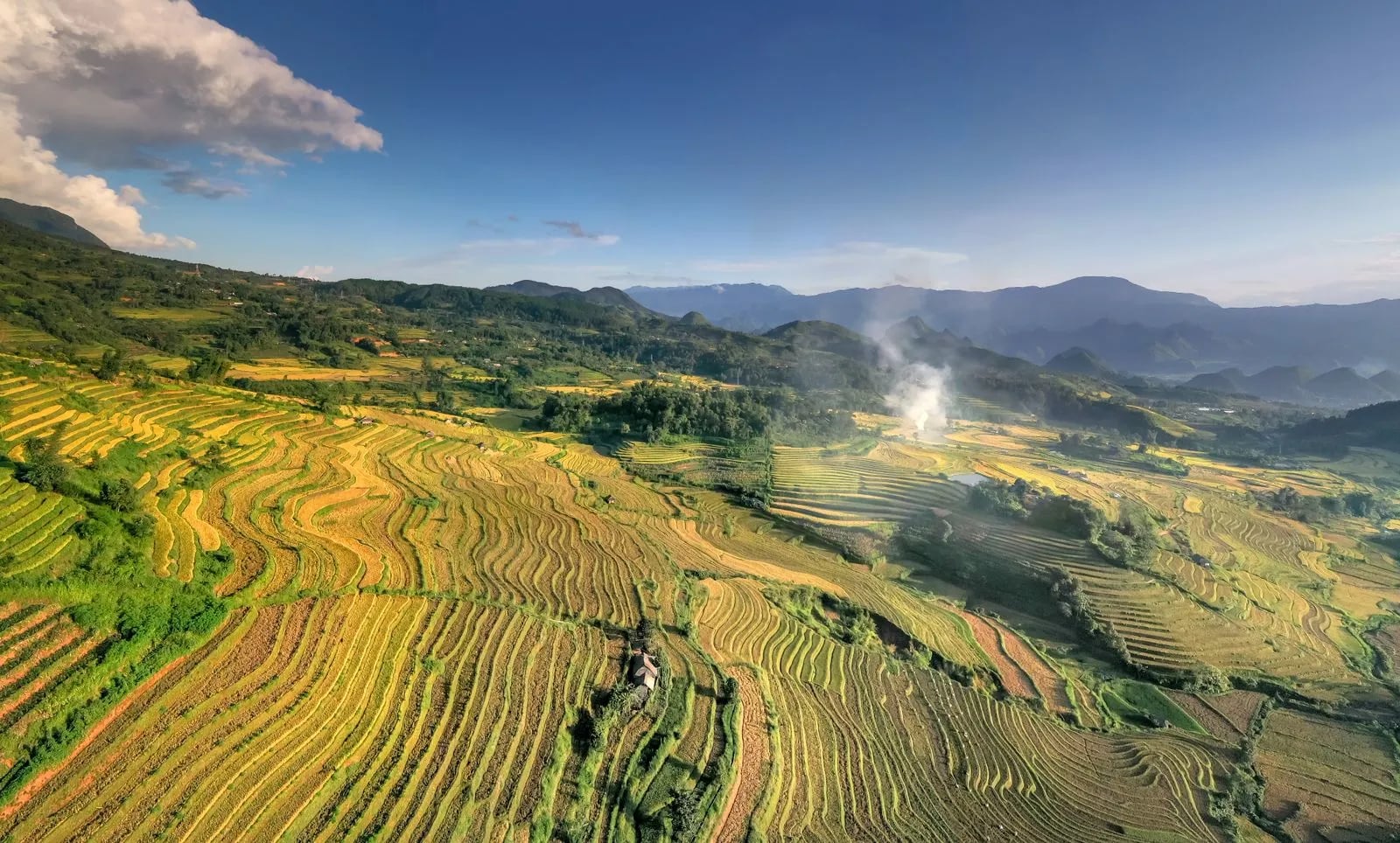 Aerial view of terraced rice fields arranged in layered rows, like a layout of nested containers