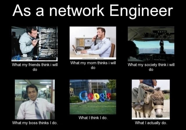 internetworking meme