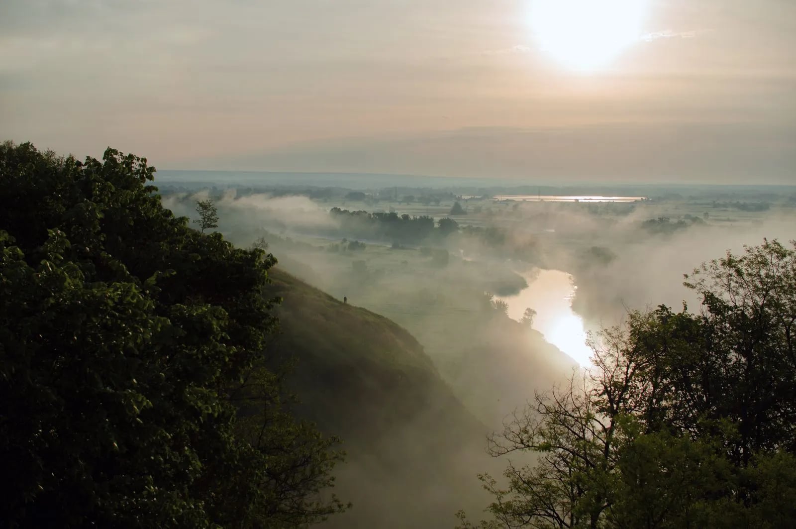 A misty river valley at sunrise, seen from a forested hillside